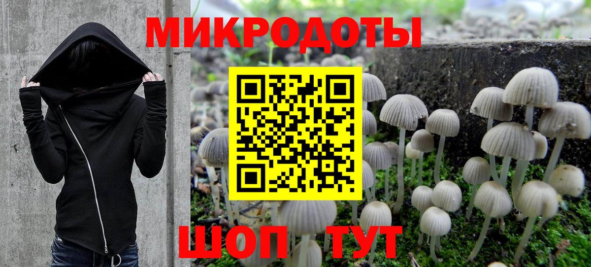 Псилоцибиновые грибы прущие грибы Югорск